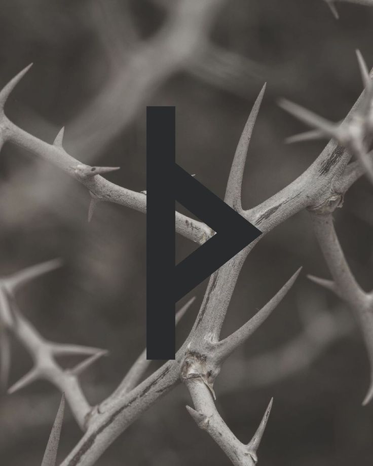From Weaver to Alchemist: Rising Through the Phoenix Gate with Thurisaz Fire